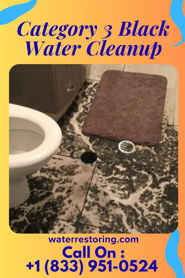 Category 3 Black Water Cleanup in Rexford, KS