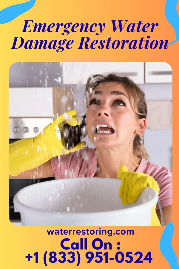 Emergency Water Damage Restoration in Rexford, KS