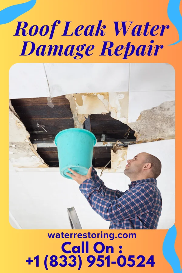 Roof Leak Water Damage Repair in Rexford, KS