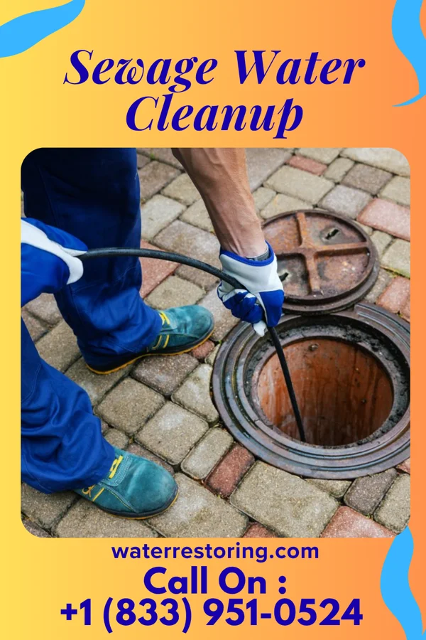 Sewage Water Cleanup in Rexford, KS